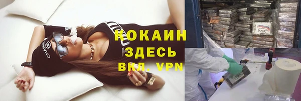 твердый Алексин