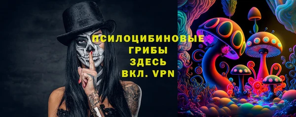 твердый Алексин