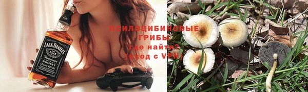 твердый Алексин